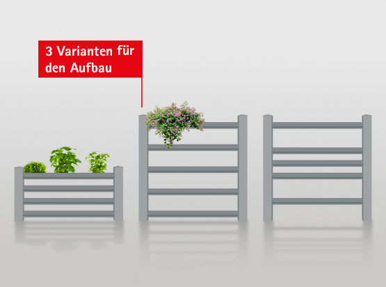 Verschiedene Aufbauvarianten des Green Fence, bepfalnzbares Sichtschutzelements Green Fence von Osmo